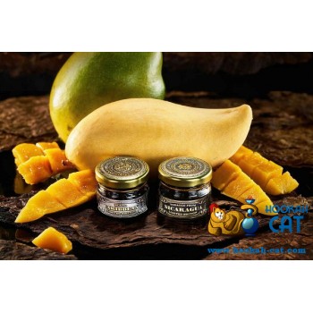 Заказать кальянный табак WTO Caribbean Blend Mango (ВТО Карибиан Манго) 20г онлайн с доставкой всей России